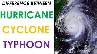 Difference between Hurricane Cyclone and Typhoon [upl. by Sinylg598]