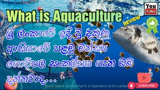 What is Aquaculture  Fish Farming  A Revolution  Kesara Productions [upl. by Notfol]