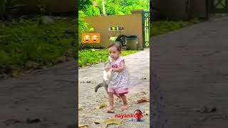 So adorable Friendshipadorable Love friendship song nayankc85 Swagata [upl. by Ettenav]