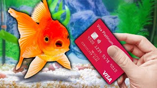 I Gave My Goldfish My Credit Card to Spend [upl. by Malissa605]