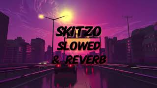 SKITZO Slowed amp Reverb to perfection [upl. by Eislel]