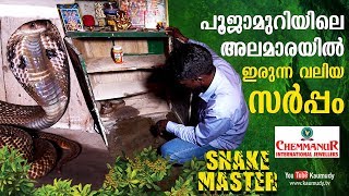 Large Cobra in Pooja Room  Snakemaster  Vava Suresh  Kaumudy TV  EP 370 [upl. by Aidualk]