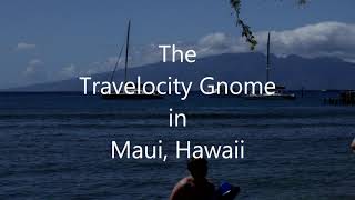 The Travelocity Gnome in Maui Hawaii [upl. by Ogires]