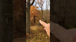 Treestand adjustment mid season Is it time for you to get a new view [upl. by Refinne]