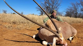 Record book Golden Gemsbok with Share my Hunt [upl. by Kristy]