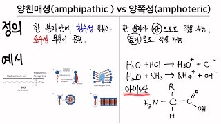 생물에 필요한 화학 22 양친매성amphipathic과 양쪽성amphoteric의 차이가 뭐지 예시 암기법 포함 [upl. by Asirret414]