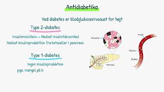 Hormonsystemet Antidiabetika [upl. by Nafri792]