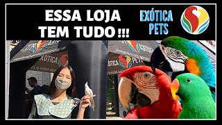 COMPRE AQUI SUA AVE  COISAS PARA O SEU PET [upl. by Knowland800]