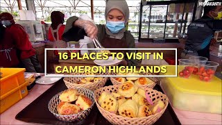 Cameron Highlands Holiday Guide  16 Places To Visit  Malaysian Street Food [upl. by Berthoud]