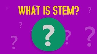 What is STEM [upl. by Stoeber]