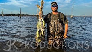 Wading Stump Flats For Mississippi Crappie [upl. by Enilekcaj385]