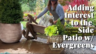 Using Evergreens in Containers to Add Winter Interest to the Patio [upl. by Carny]