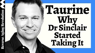 WHY Dr David Sinclair Added TAURINE To His Regimen amp His Dosage [upl. by Ule942]