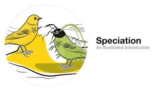 Speciation An Illustrated Introduction [upl. by Nawad59]