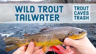 Fishing Wild Trout Tailwater  Watauga River Tennessee [upl. by Annahaj]