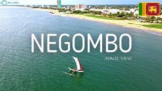 NEGOMBO SAIL BOATS  SRILANKA  Aerial View  Drone [upl. by Fabi192]