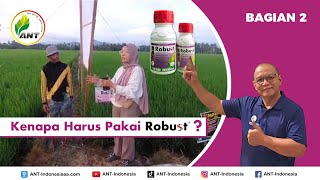 KENAPA HARUS PAKAI ROBUST INI JAWABANNYA BAGIAN 2 [upl. by Billen]