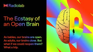 The Ecstasy of an Open Brain  Radiolab Podcast [upl. by Kameko533]