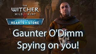 Witcher 3 Gaunter ODimm detail you probably missed while playing Hearts of Stone [upl. by Noland]