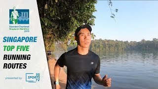 Singapore Top 5 Running Routes part 1 MacRitchie Reservoir [upl. by Bueschel80]