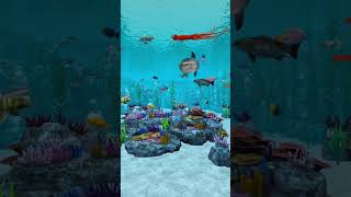 Real VR Fishing Epic Saltwater Fish [upl. by Salter]