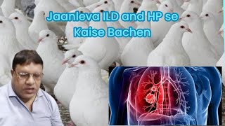 Jaanleva Interstitial Lung Disease ILD and Hypersensitive Pneumonitis se Kaise Bachen pigeon HP [upl. by Nerraf]