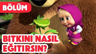 Maşa İle Koca Ayı 🪴 Bitkini nasıl eğitirsin 😋 Bölüm 99 Yeni bölüm 2024💥🎬 [upl. by Ciredor]