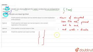 Assertion vessels are more efficeent for water conduction [upl. by Anthia944]