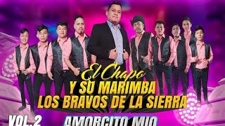 AMORCITO MIO El Chapo Y Su Marimba Los Bravos De La Sierra [upl. by Krahling]