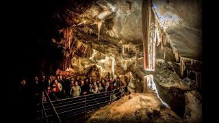 Jenolan Caves Day Tours  Gray Line Sydney [upl. by Aisek]