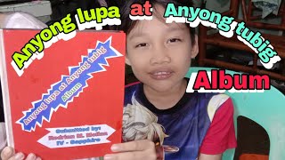 mga anyong lupa at anyong tubig album a project for grade 4 student AralinPanglipunan [upl. by Ylremik]