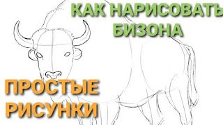 КАК НАРИСОВАТЬ БИЗОНА\HOW TO DRAW A BISON EASY\ [upl. by Lirba951]