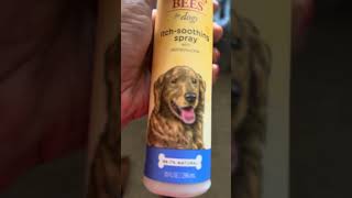 Oatmeal dog spray Burts Bees for Pets Natural Itch Soothing Spray with Honeysuckle Best AntiItch [upl. by Atikaj]