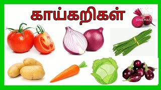 காய்கறிகள்  Vegetables names in tamil  vegetables [upl. by Morna768]