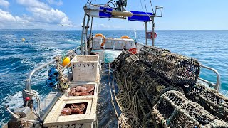 Commercial Fishing  A Day in the Life of a Commercial Crab Fisherman  The Fish Locker [upl. by Corty]