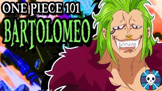 Bartolomeo Explained  One Piece 101 [upl. by Annawaj]