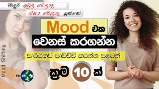 ඔලුව අවුල් වෙලාද Mood එක වෙනස් කරගන්න විදිහ  10 Tips to Shift Your Mood Instantly  Bio Api Boost [upl. by Xam465]