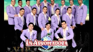 La Arrolladora Banda El Limon Amemonos Mas [upl. by Ledif]