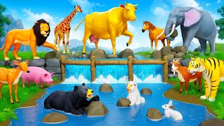 Golden Cow Leads Farm Animals in Water Pool Diorama Adventure  Funny Animals 2024 Cartoons [upl. by Anoirtac416]