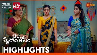 Sneham Kosam  Highlights of the day  Watch full EP only on Sun NXT  19 Dec 2024  Gemini TV [upl. by Yelyah904]