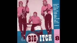 Various – The Big Itch Volume 8 50s 60s Rock amp Roll Novelty Garage Parody Rock Music Compilation [upl. by Senalda]