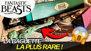 ON VOUS PRÉSENTE LA BAGUETTE HARRY POTTER LA PLUS RARE [upl. by Ehrlich]