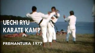 Uechi ryu seminar Premantura 1977 [upl. by Nnairb]