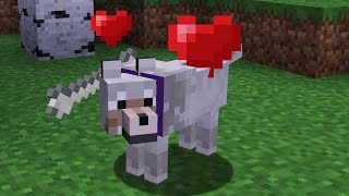 PERRO RECOGE HUESO  Truco Minecraft [upl. by Aninad206]