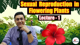 Sexual Reproduction in Flowering Plants l Lecture 1 l Biology l NEET [upl. by Nordna]