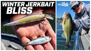 How to Fish Jerkbaits for Winter Bass on Grass Lakes [upl. by Brote353]