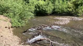 The Gualala River in Northern California [upl. by Thalia]