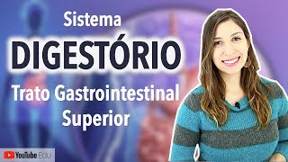 Sistema Digestório 25  Trato Gastrointestinal Boca Faringe Esôfago e Estômago [upl. by Etnoek]