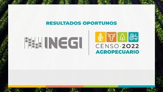 Cápsula Resultados Oportunos Censo Agropecuario 2022 [upl. by Cenac]