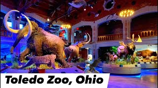 Toledo Zoo Toledo Ohio USA [upl. by Gaulin640]